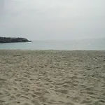 лесо-зара студио