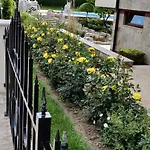 лесо-зара студио Apartment Rawda