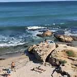 лесо-зара студио *