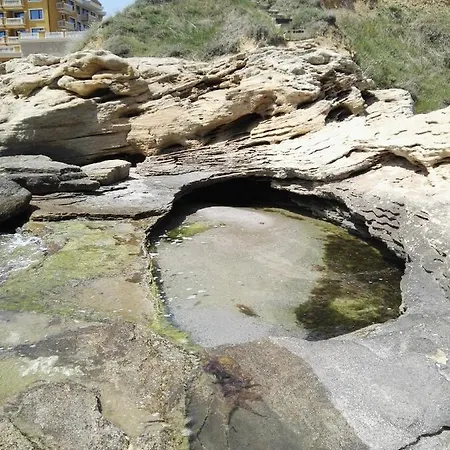 лесо-зара студио Ravda