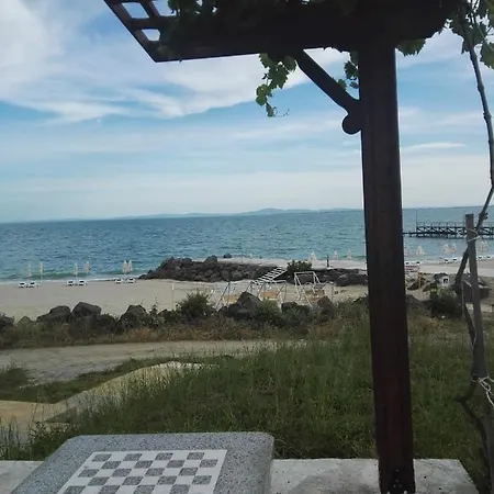 лесо-зара студио *