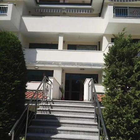 лесо-зара студио Ravda