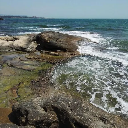 лесо-зара студио Apartamento