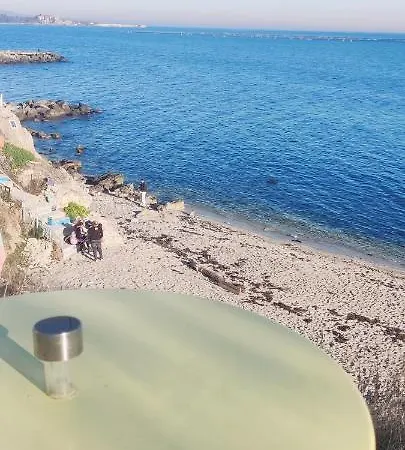 лесо-зара студио * Ravda