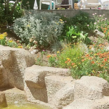 лесо-зара студио Apartment