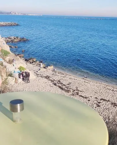 лесо-зара студио * Ravda